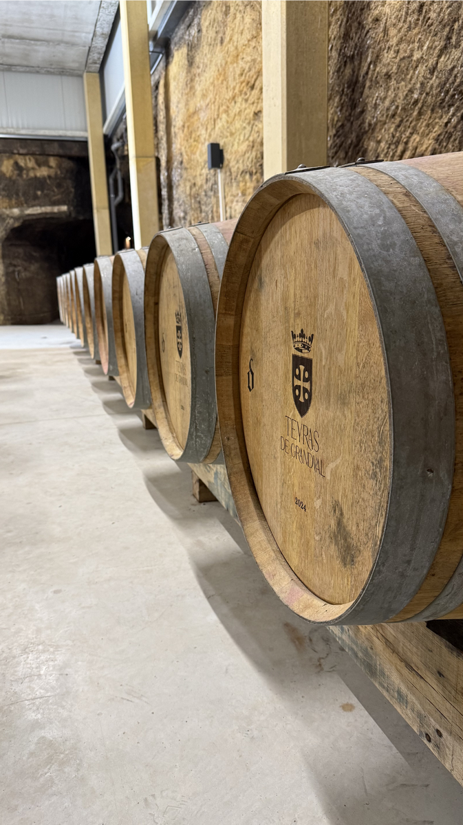 CHINON- TEYRAS DE GRANDVAL-Anatole de la Brosse (2)