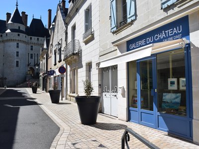 Galerie du chateau interieur