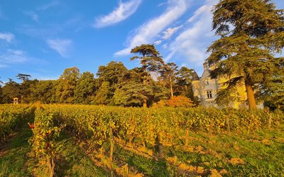 ACVL-BEAUMONT EN VERON-Château de Coulaine -De bonnaventure 2036 (1)