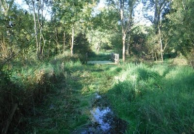 Marais des rouches chantier nature2