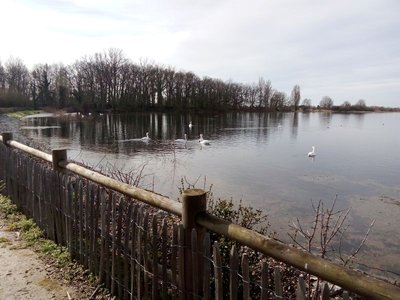 Etang assay 2024