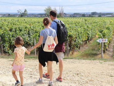 Echappées en Loire - Vins de Saint Nicolas de Bourgueil