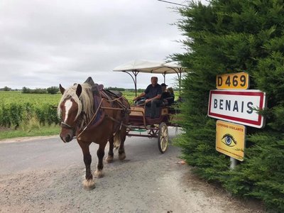 Domaine de la Noiraie