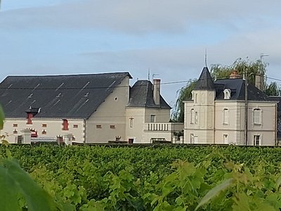 ottn-2025-PO domaine des mailloches - Restigne