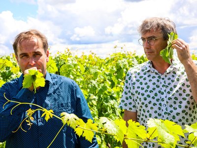 Domaine des Vallettes