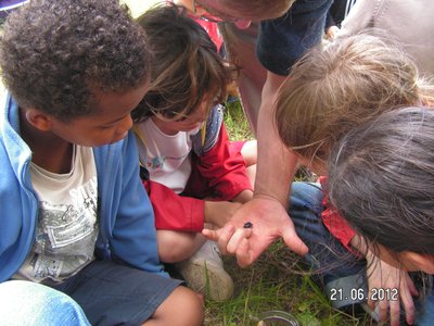Atelier Petites Bêtes 1