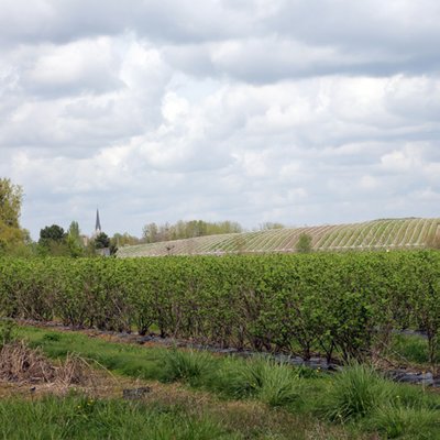 Point de vue sur les coteaux