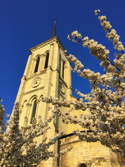 Eglise Saint-Nicolas de Saumur