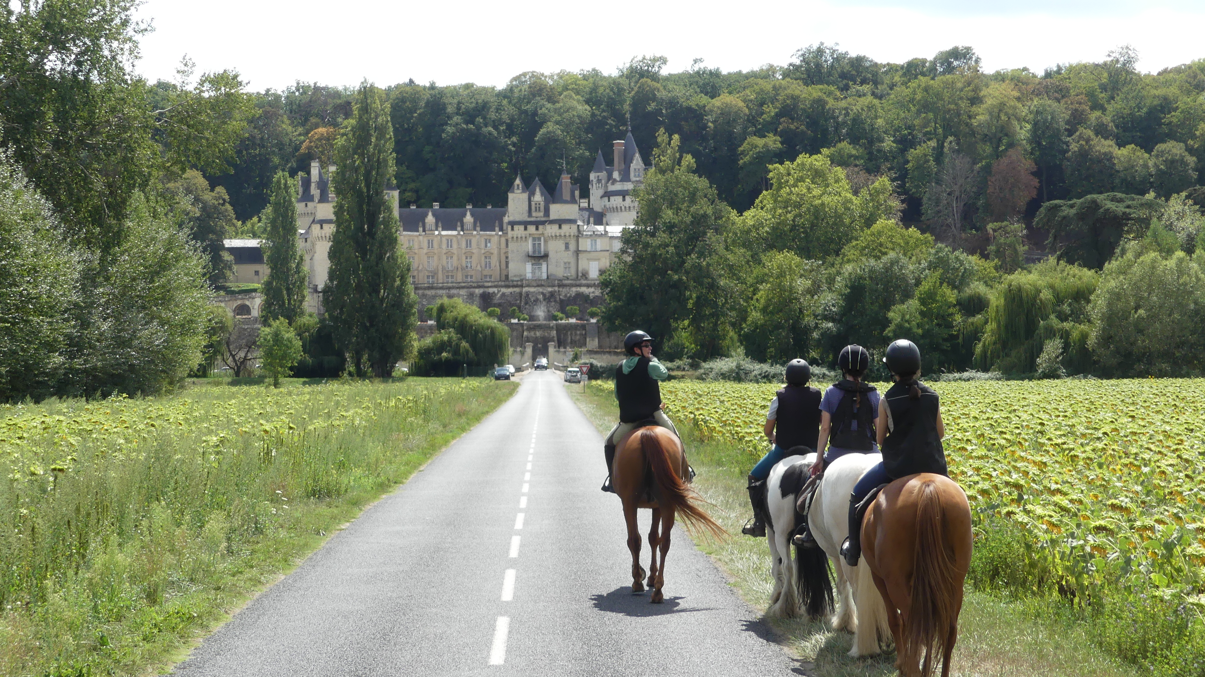 Cavaliers devant le Château d'Ussé