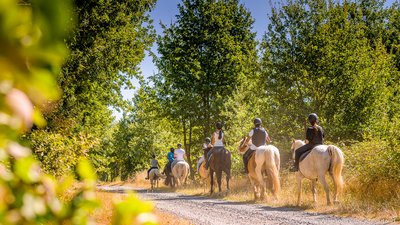 Balade à cheval dans les bois - Touraine Cheval