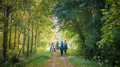 Cavaliers dans la forêt