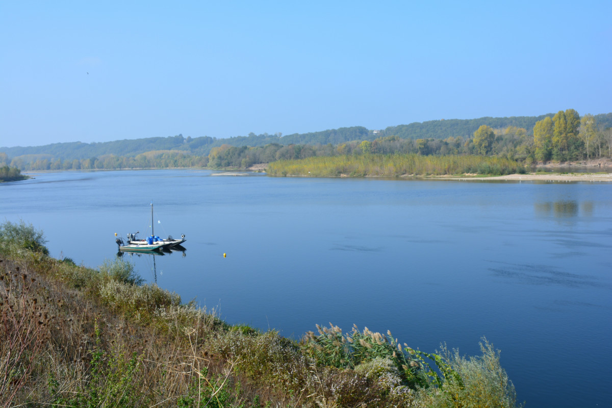 Vue sur la Loire, près de Candes-Saint-Martin