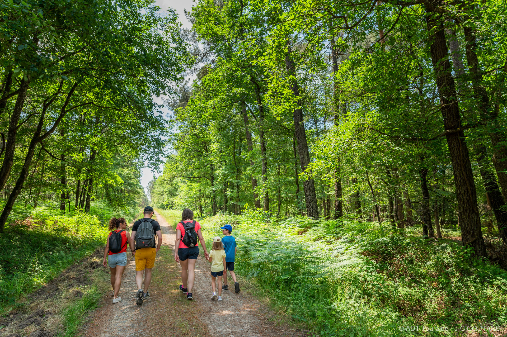 Photographie de personnes se promenant dans la forêt de Chinon