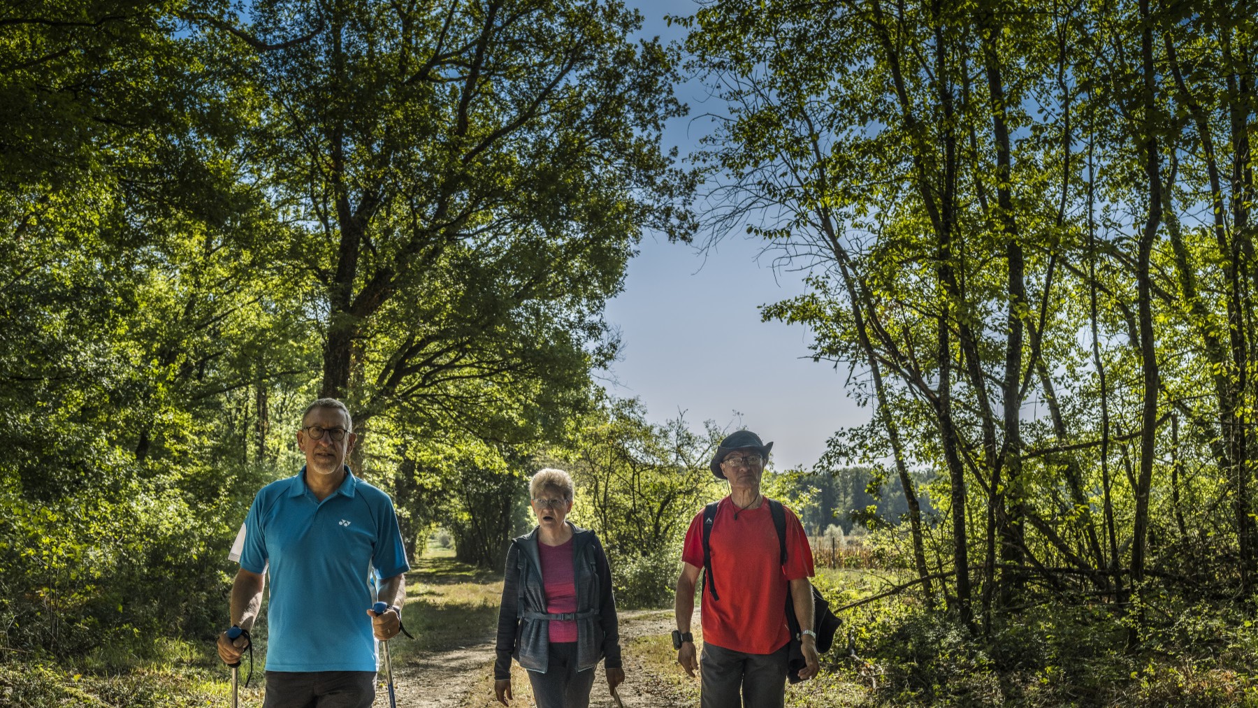 La forêt de Panzoult