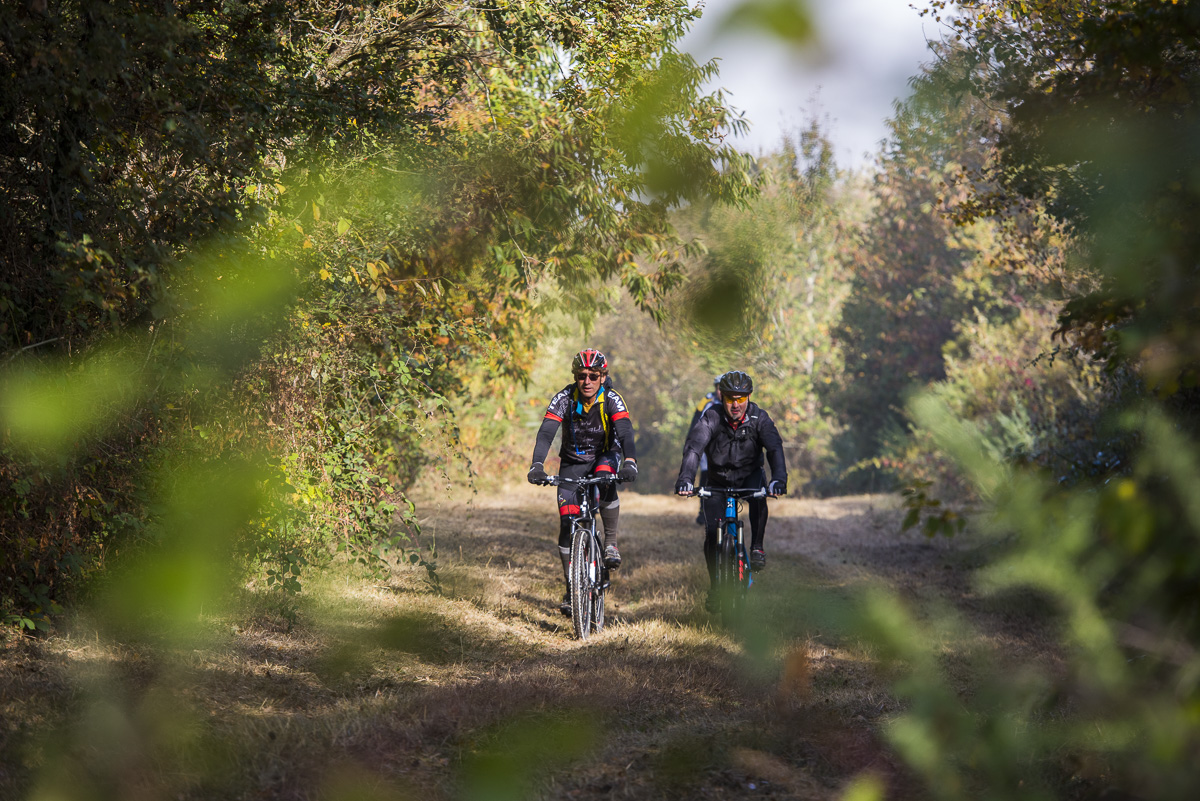 VTT Cinais