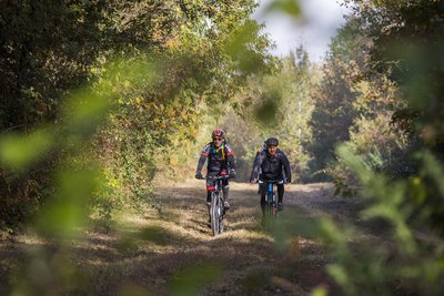 VTT Cinais