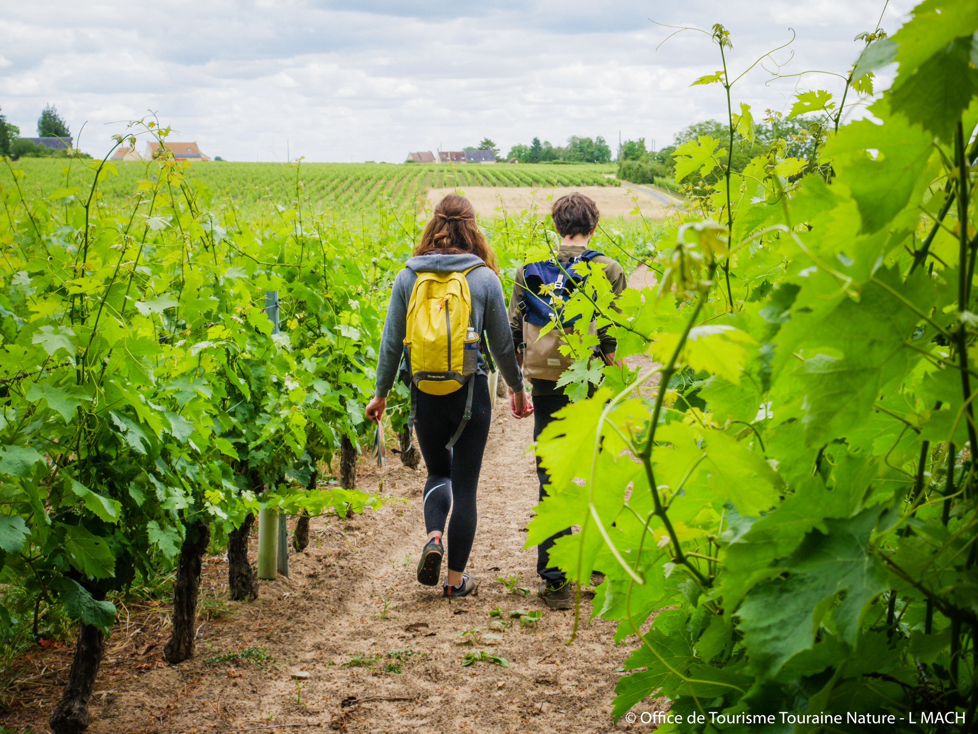 Benais : De verts coteaux au blanc tuffeau