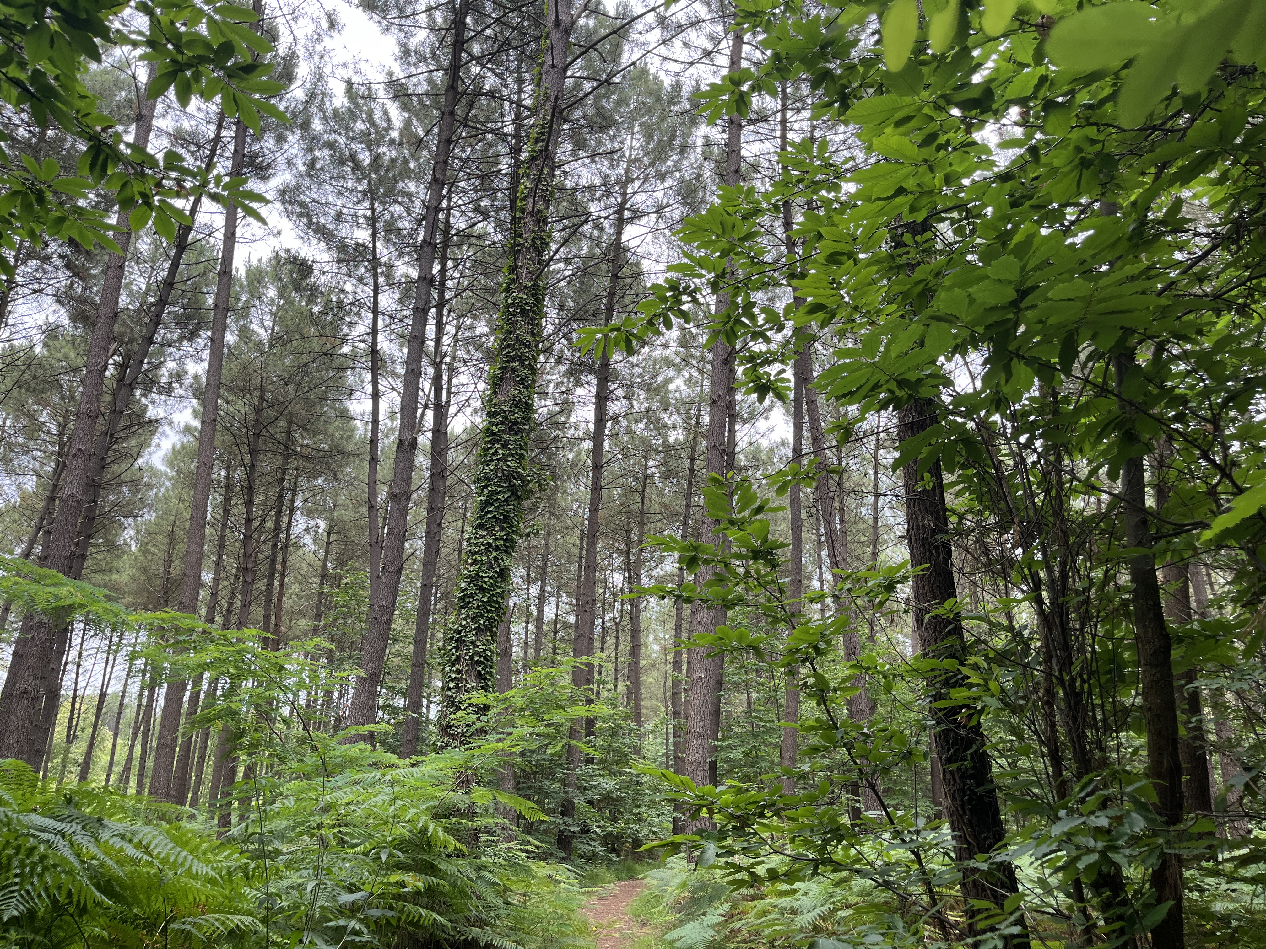 Circuit Gravel n° 17 - Vernantes