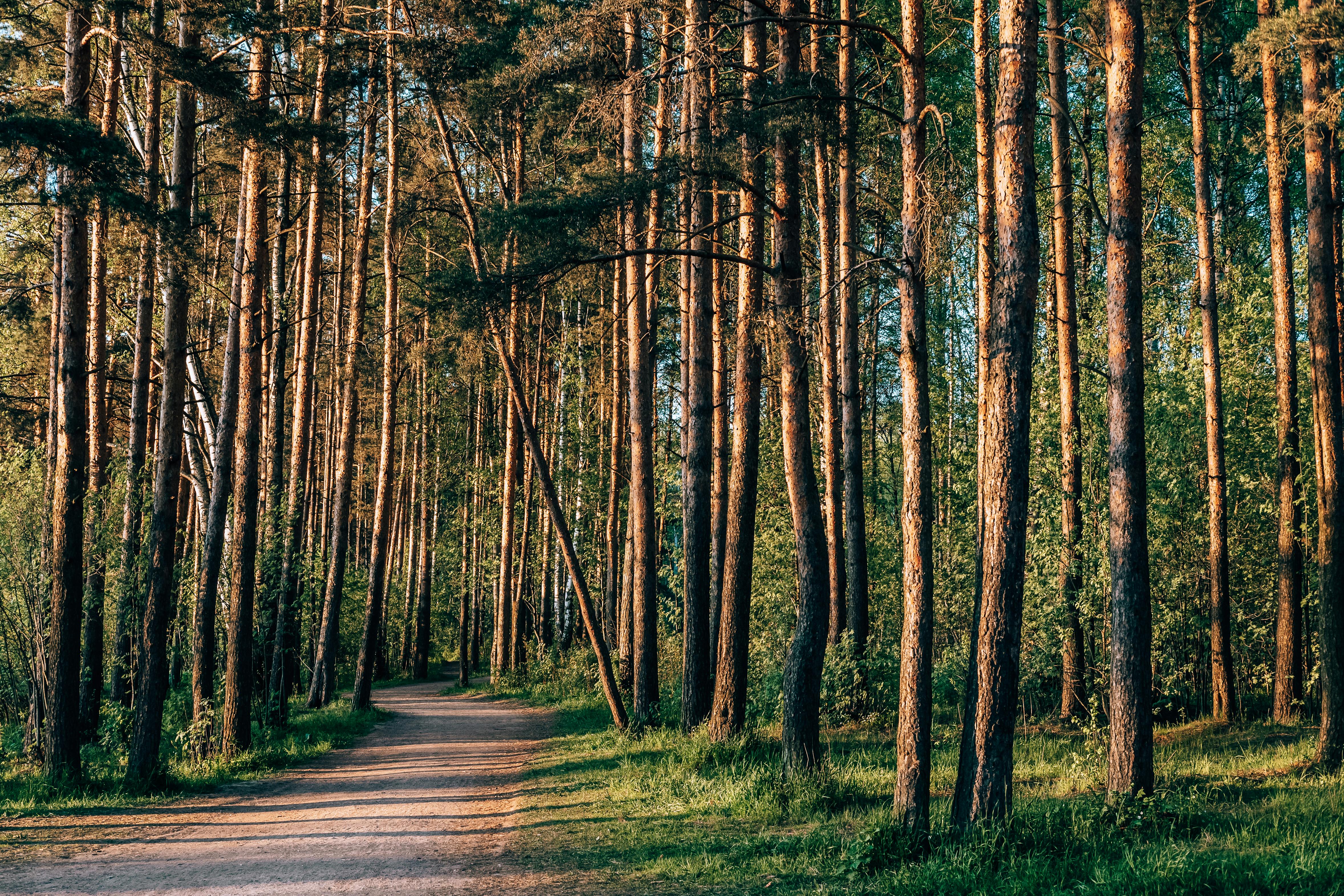 Saint-Philbert-du-Peuple
