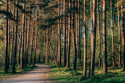 Saint-Philbert-du-Peuple