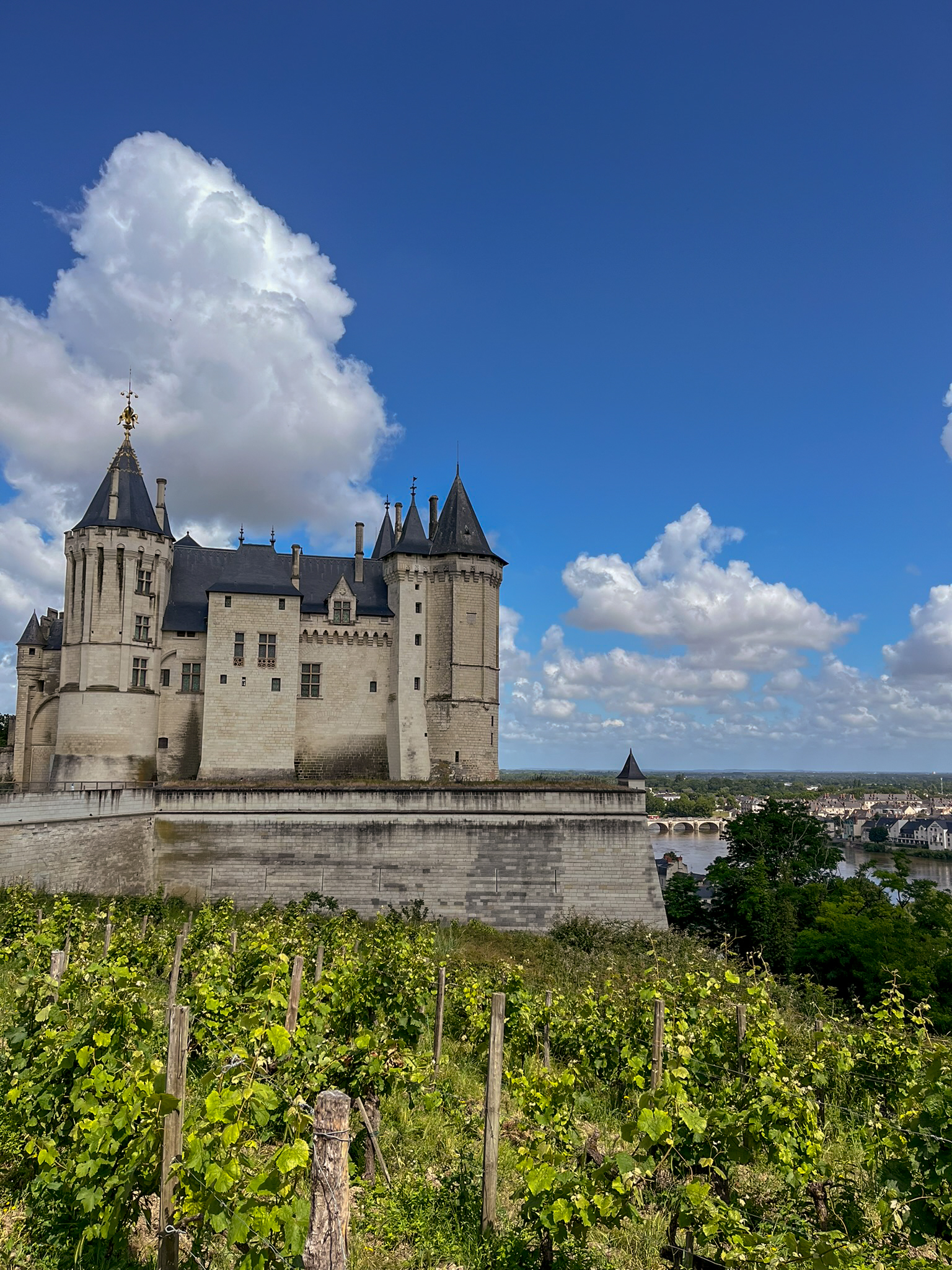 Château de Saumur