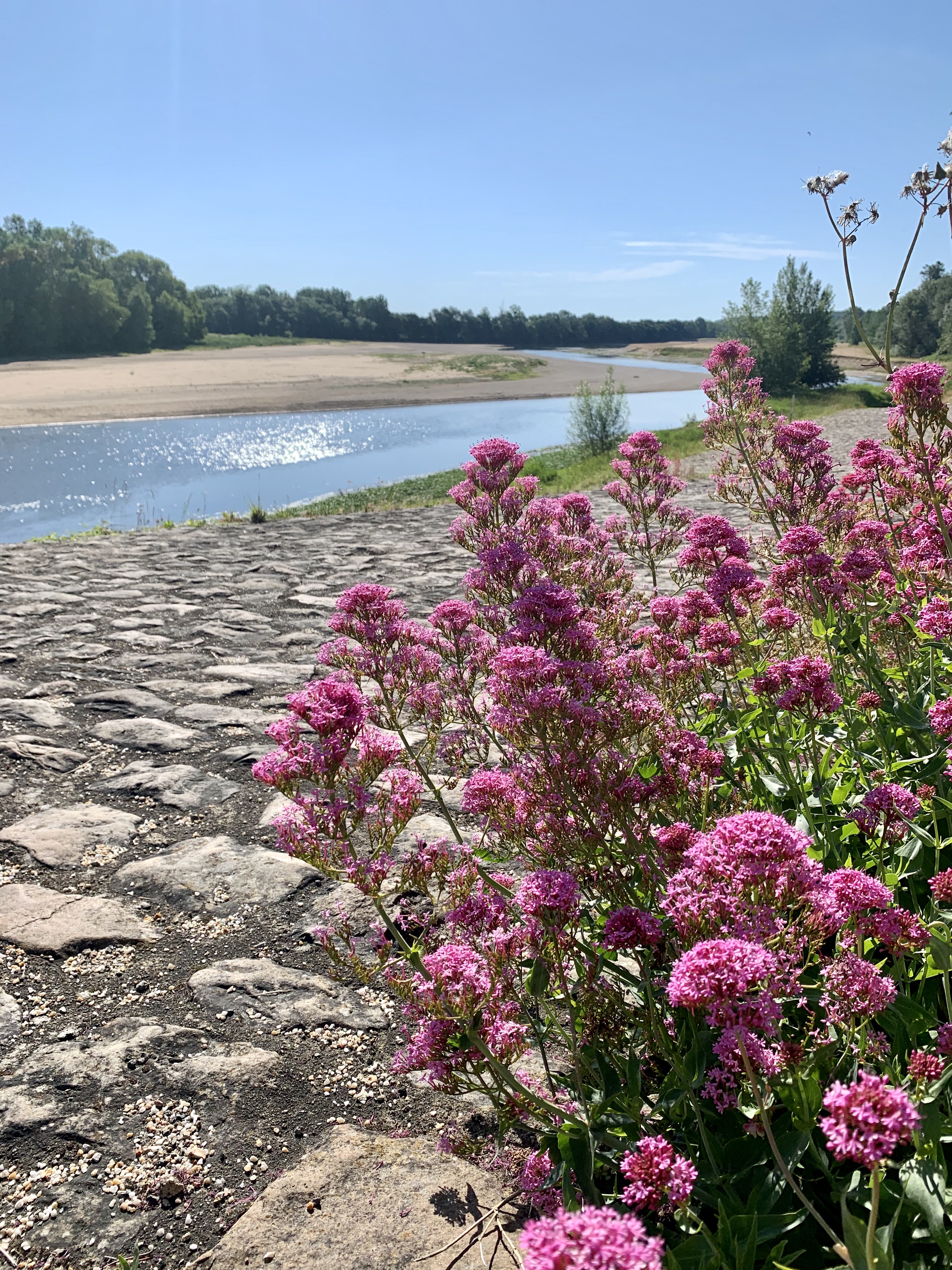 Vue sur Loire