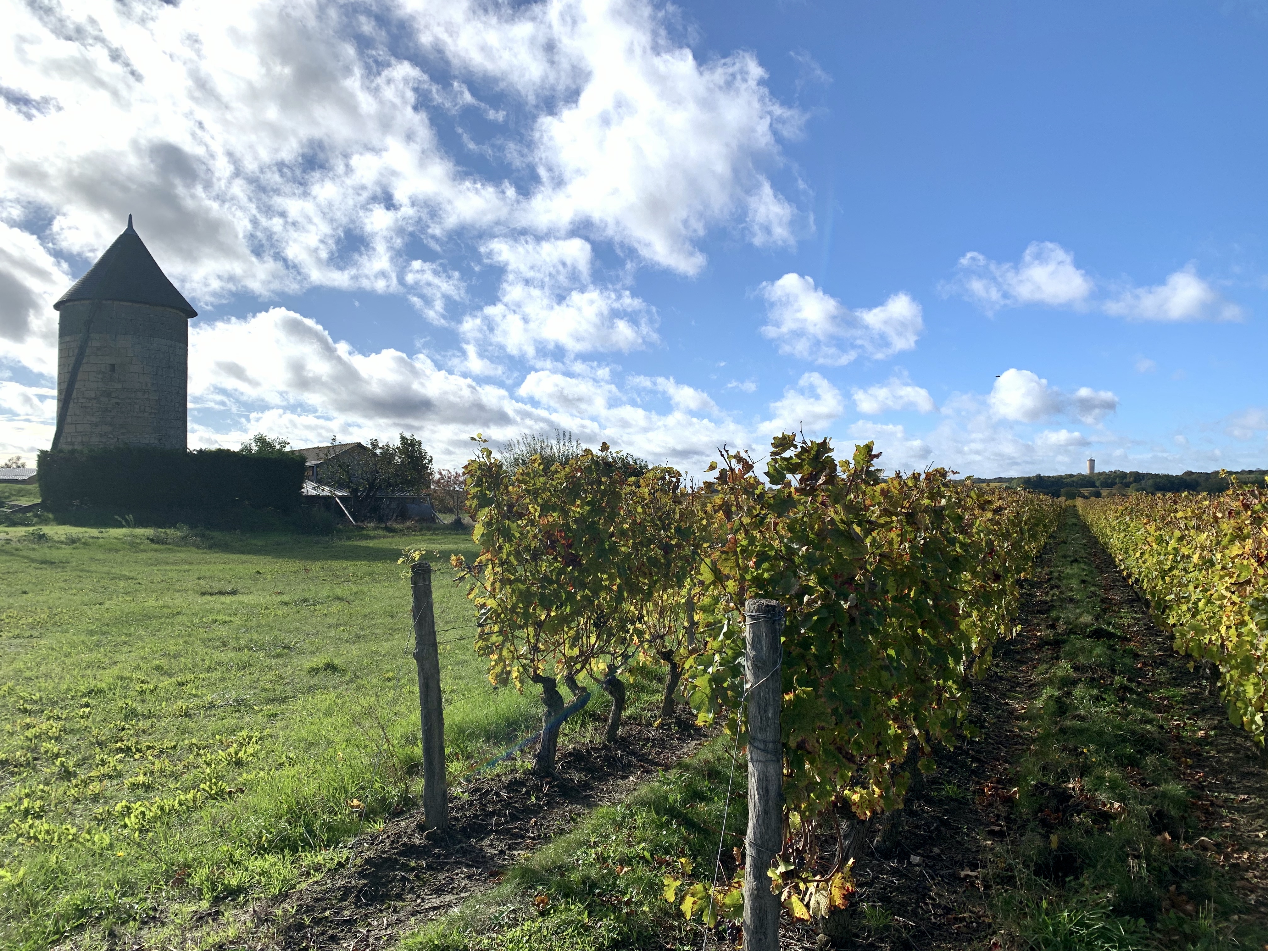 Moulin et Vignoble - Les Ulmes