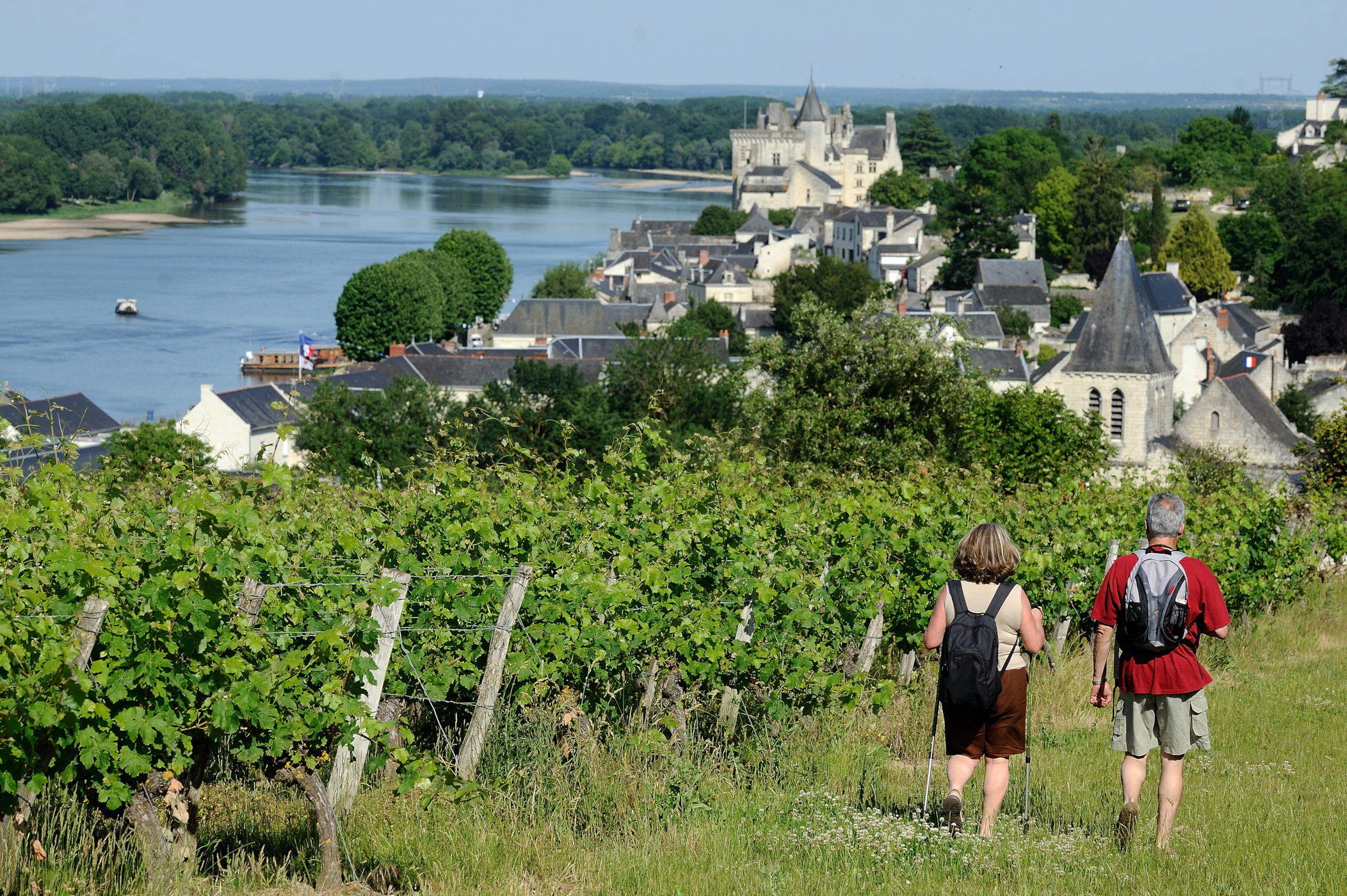 Randonneurs dans le Vignoble