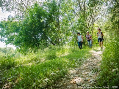 Randonnée de l'été de Saint-Martin