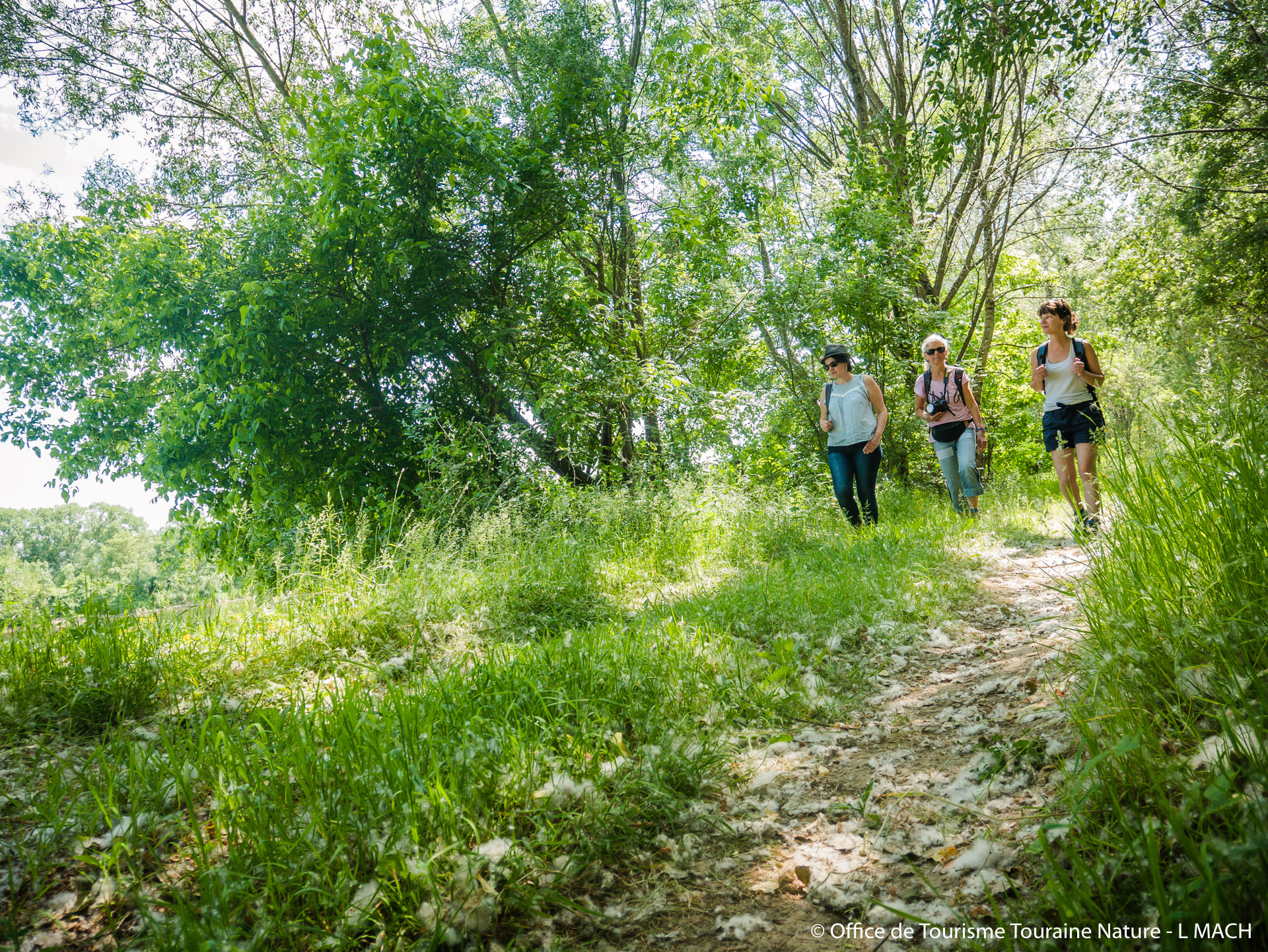 Randonnée de l'été de Saint-Martin