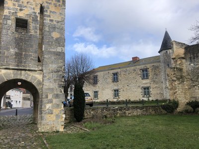 Photo des ruines du château de Sainte-Maure-de-Touraine