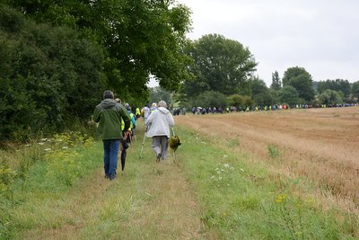 Randonneurs dans la forêt