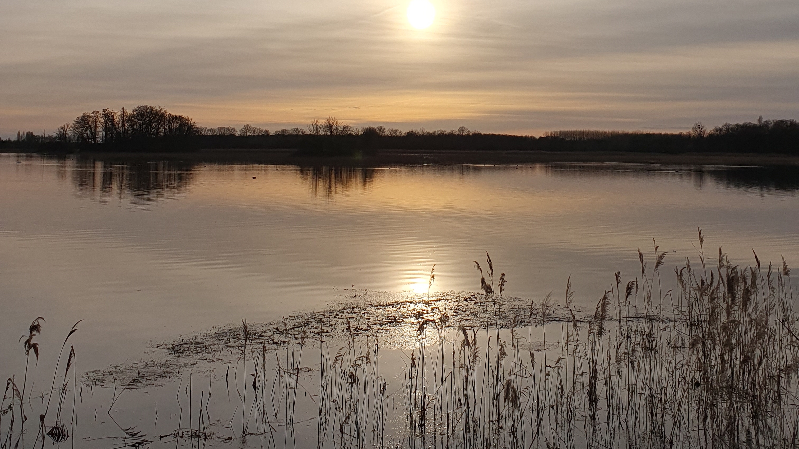 Coucher de soleil sur l'étang d'Assay