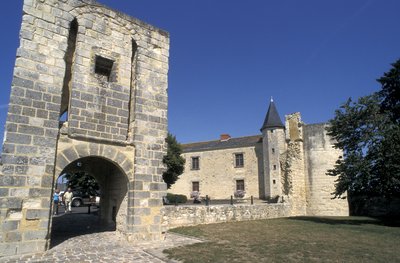 Photographie des ruines du château de Sainte-Maure-de-Touraine