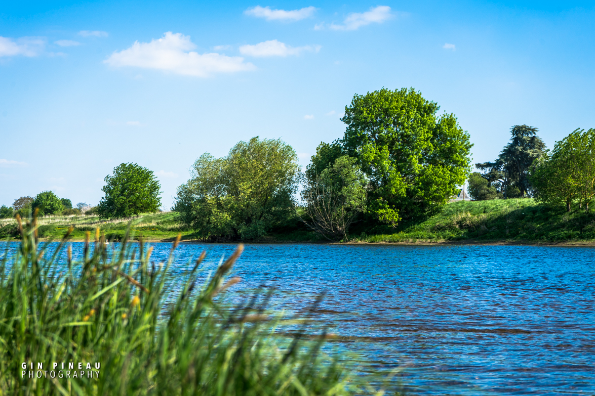 Les bords de Vienne