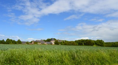 Belle Jonchère entre Veigné et Saint-Branchs