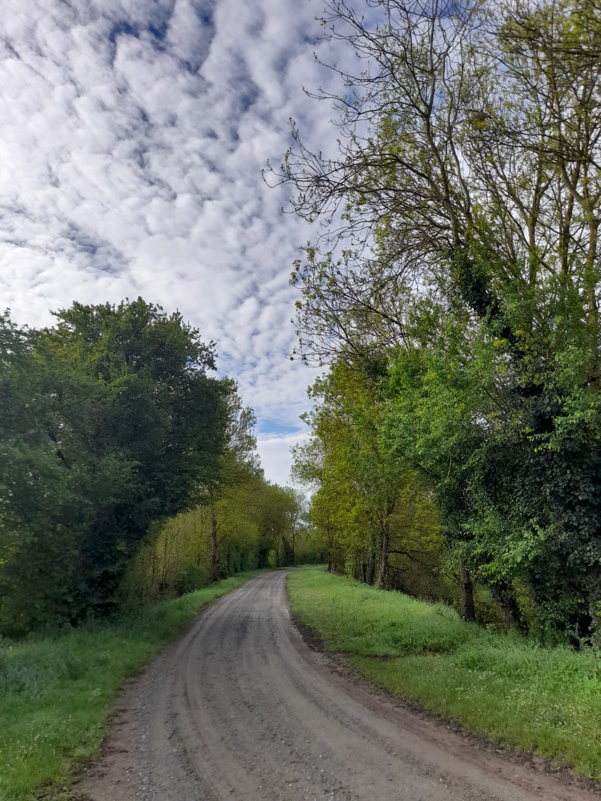 Sentier Près des Ilons