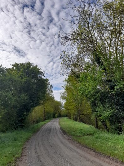 Sentier Près des Ilons