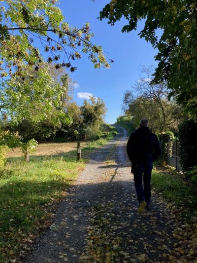 Sentier La ronde des arbres