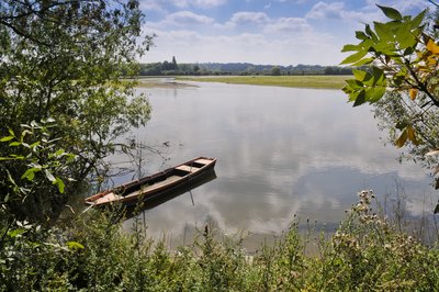 La Daguenière