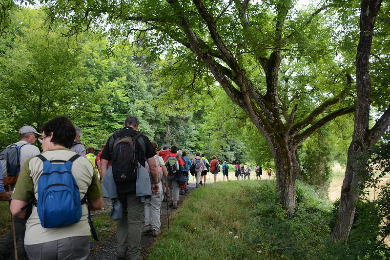 Randonneurs dans la forêt de Saint-Épain