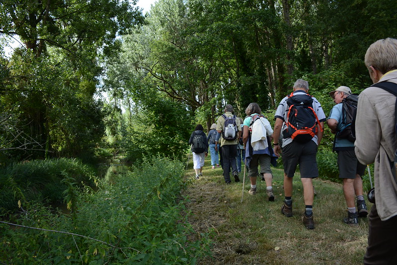 Randonneurs dans la forêt