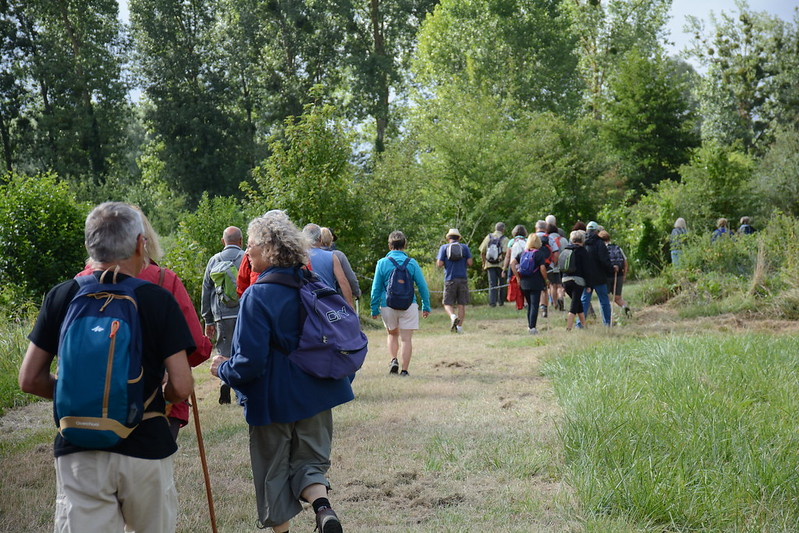 Randonneurs dans la forêt